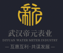 武汉帝元表业有限公司
